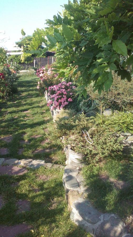Синя Луна Lozenets Exterior foto